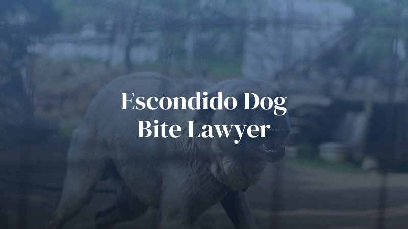 Escondido Dog Bite Lawyer